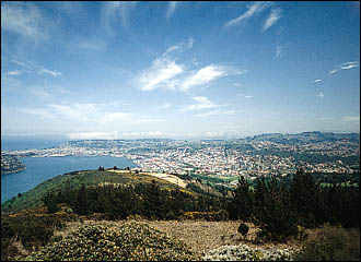 View of Dunedin from Flagstaff