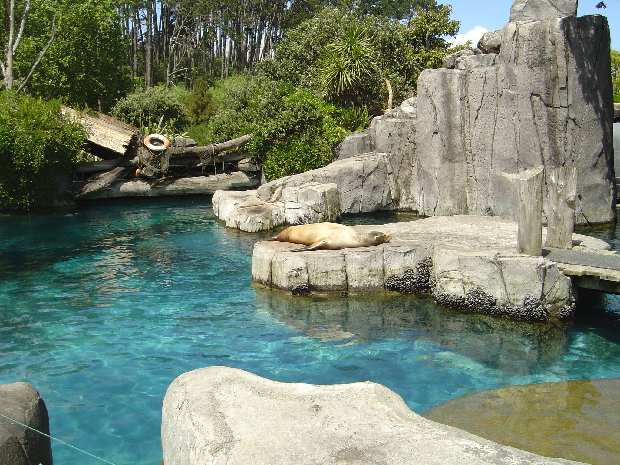 Auckland Zoo