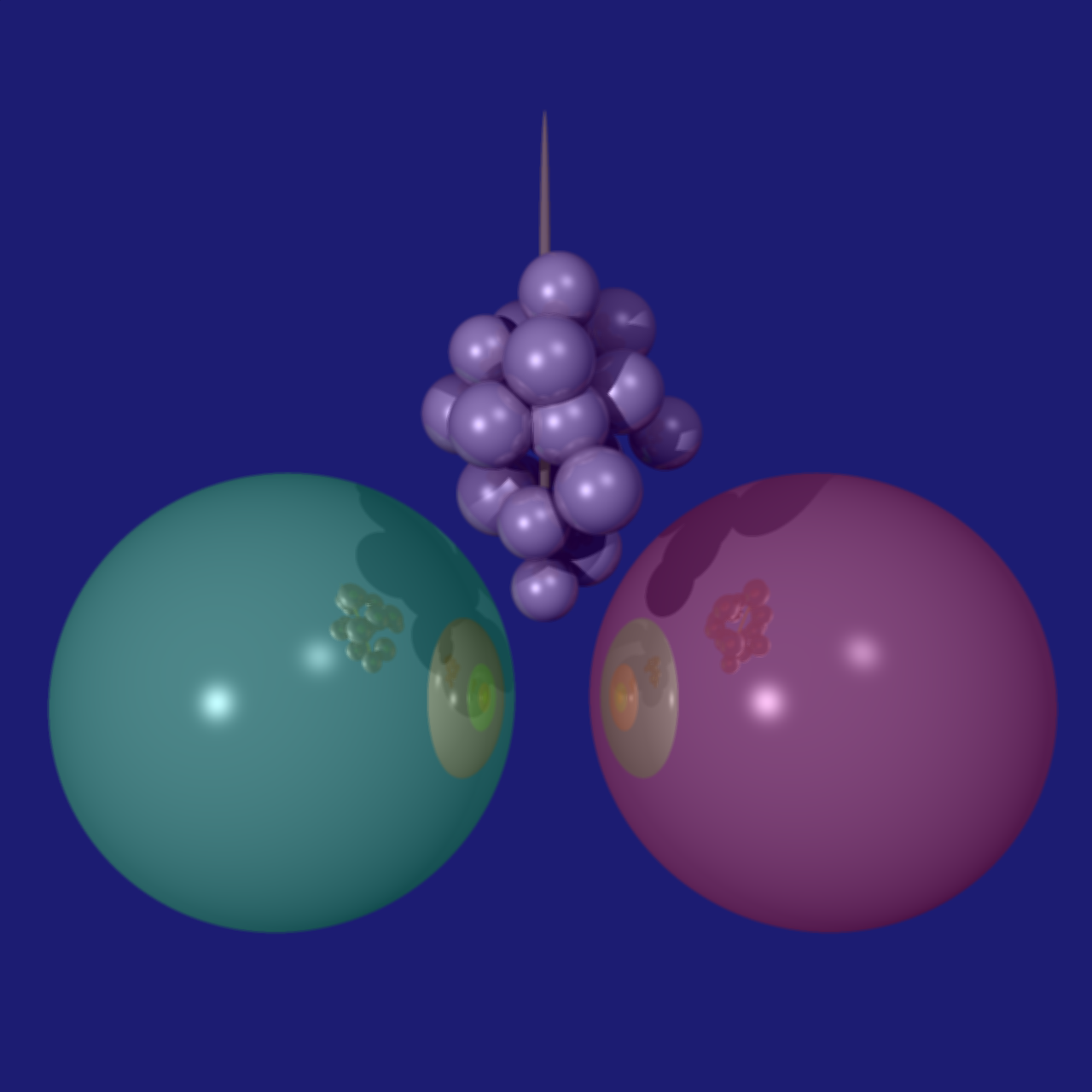 bnally.grapes.large.png