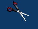 image19.png