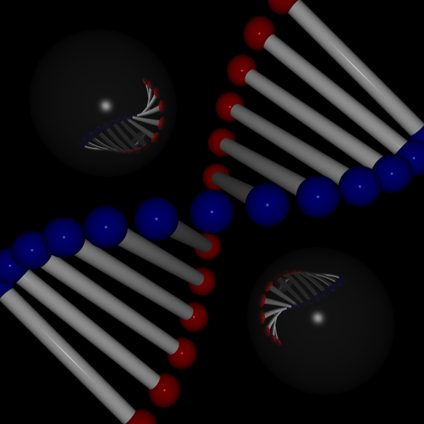 image05.png