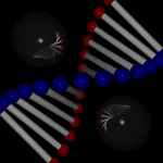 image05.png