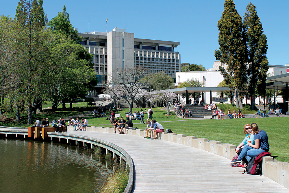 University of Waikato