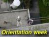 oweek