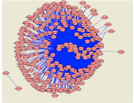 Protein Complex Network