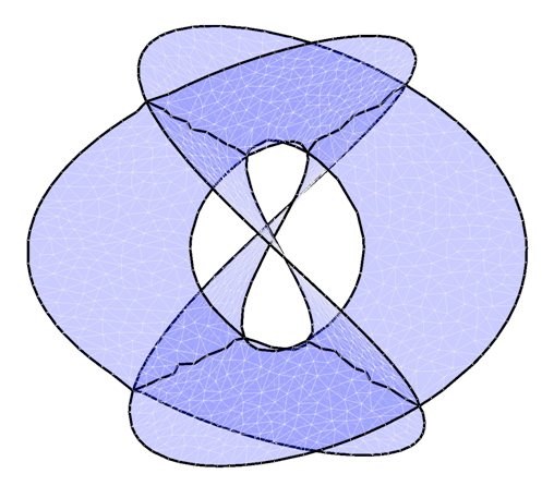 Henneberg's Sufrce