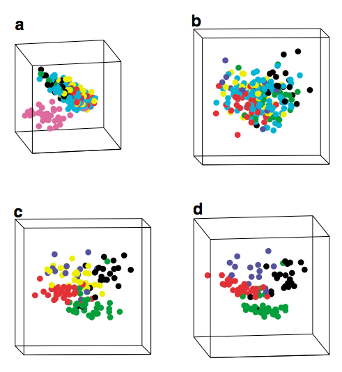 Karyotype Clustering