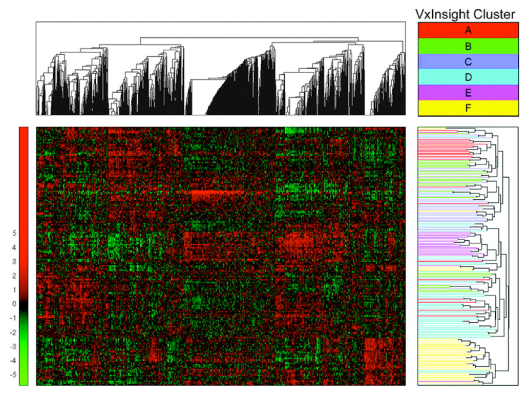 Microarray Clusters