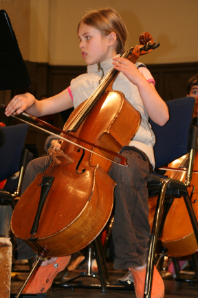 Cello
                Pupil