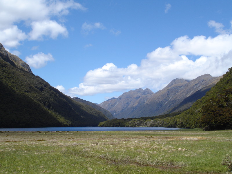 greenstone track