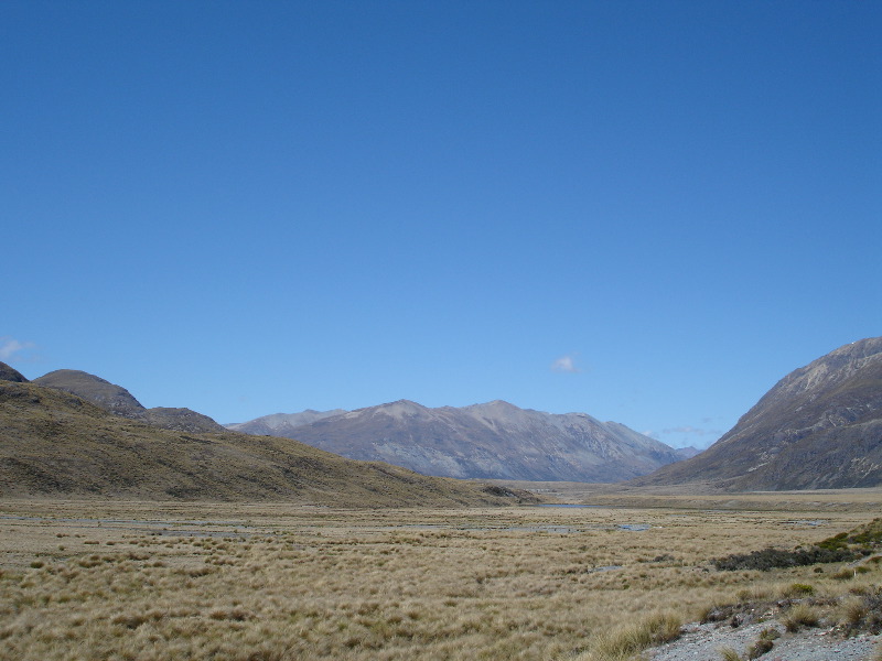 mavora