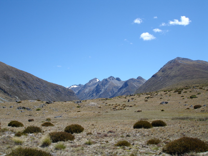 mavora