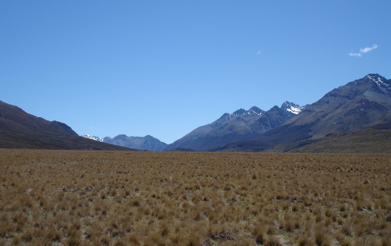 mavora